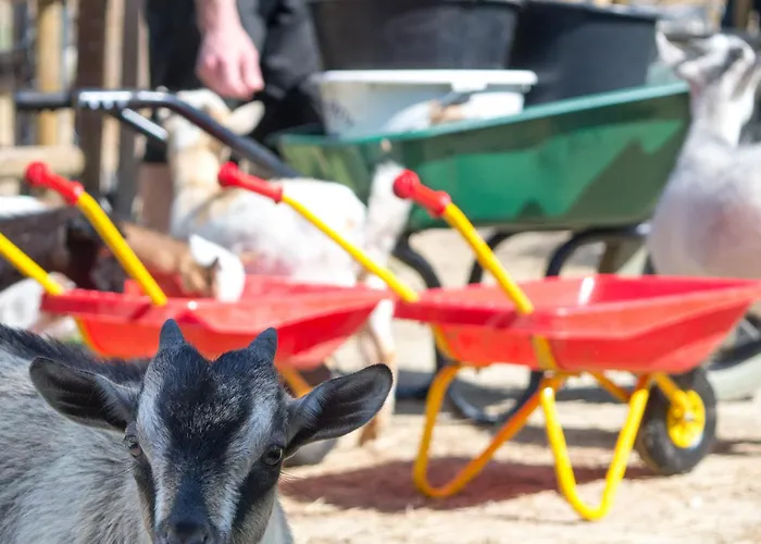 펜션 Maison Avec Piscine Location De Ferme Pedagogique Du Dolmen *